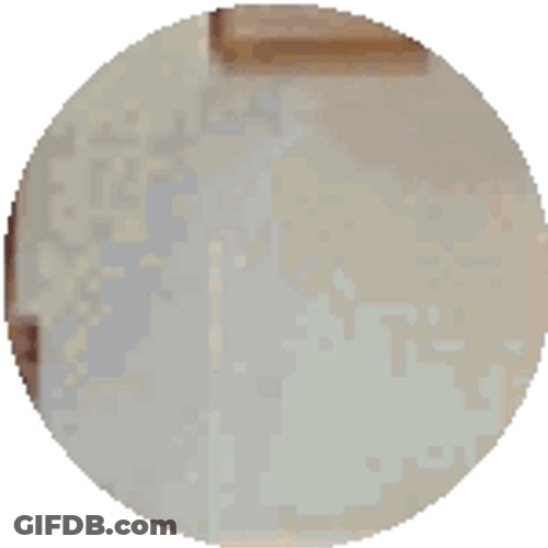 Dumb And Dumber Bathroom Situation GIF