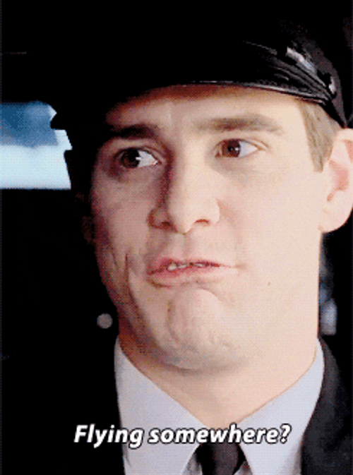Dumb And Dumber Flying Somewhere GIF