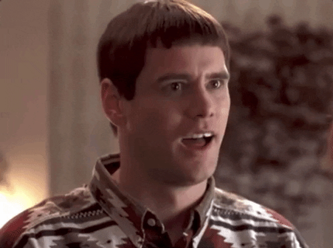 Dumb And Dumber I Like You GIF