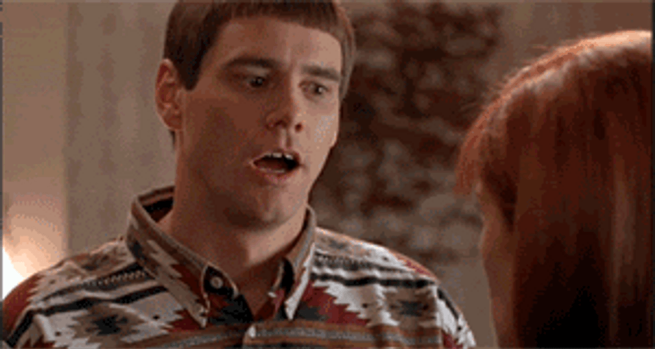 Dumb And Dumber There's A Chance GIF