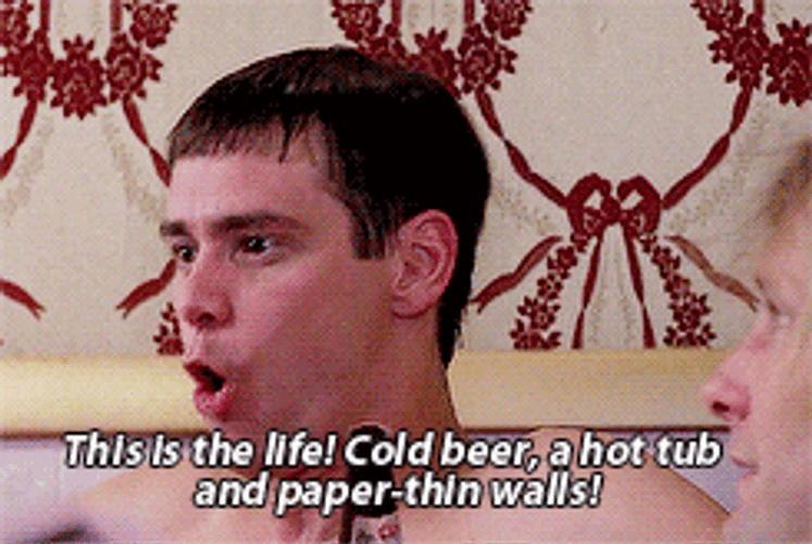Dumb And Dumber This Is Life GIF