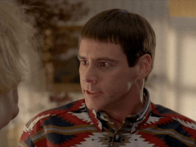 Dumb And Dumber Ya Hear Me GIF