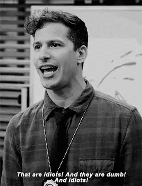Dumb And Idiots Brooklyn 99 GIF