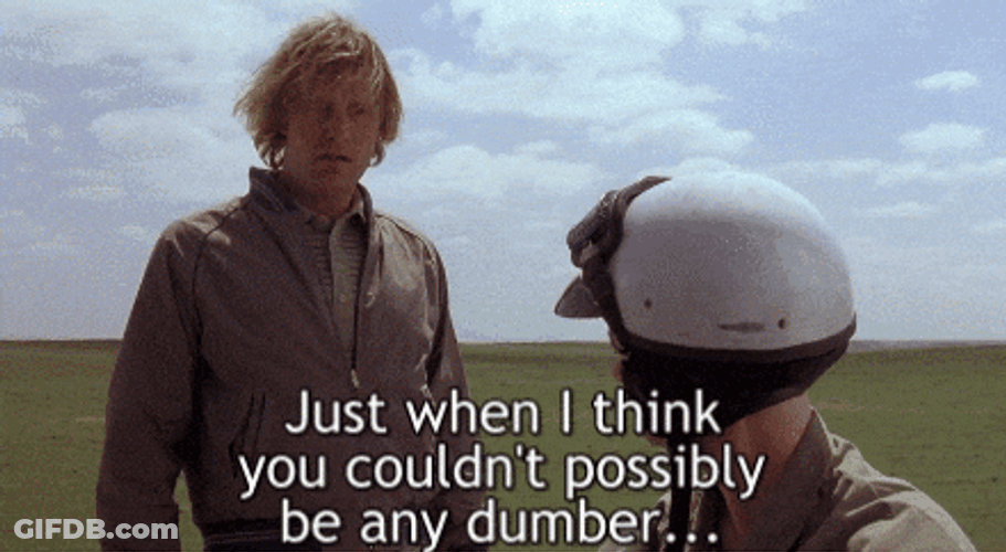 Dumb And Possibly Be Dumber Scooter GIF