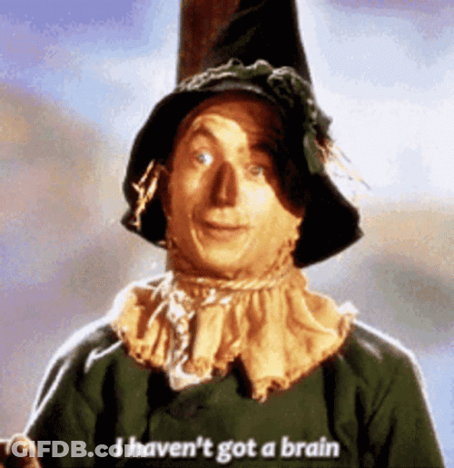 Dumb I Haven't Got A Brain GIF
