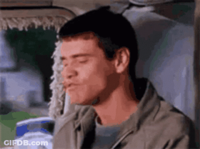 Dumb Jim Carrey GIF