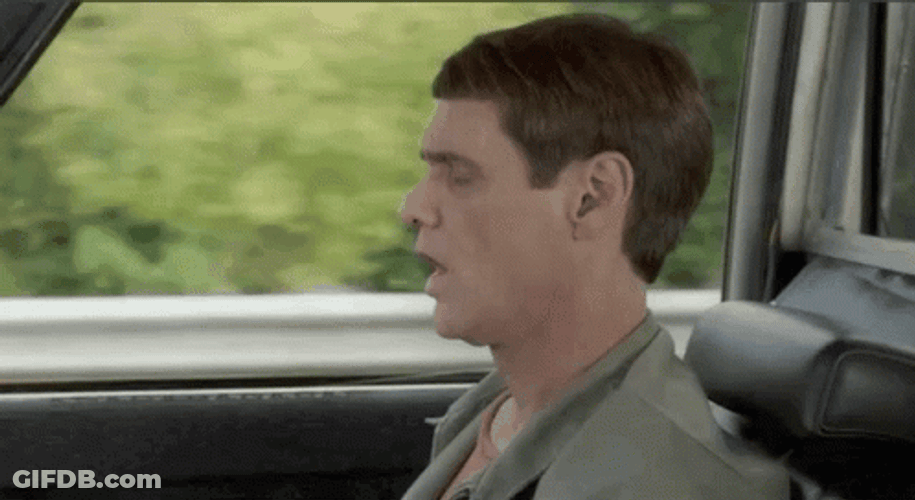 Dumb Lloyd Christmas GIF