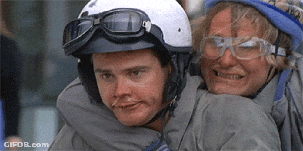 Dumb We're There Scooter And Dumber GIF