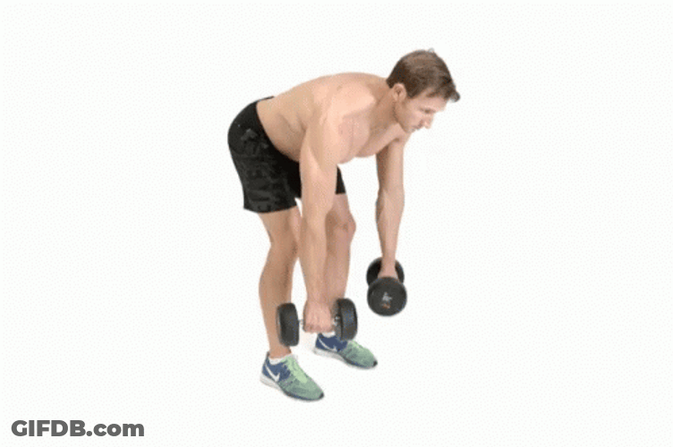 Dumbbell Row Two Hands Bent Over Row GIF