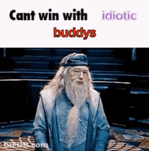 Dumbledore Can't Win With Idiotic Buddies GIF