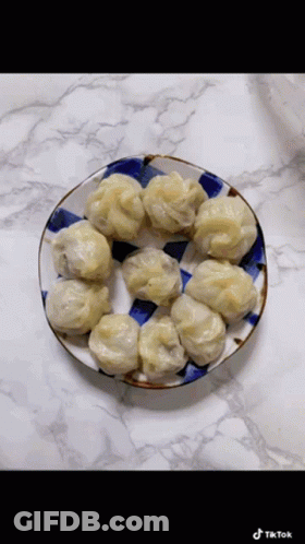 Dumplings On Checkered Plate With TikTok GIF