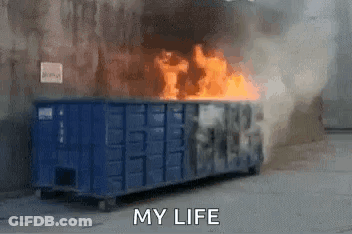 Dumpster On Fire Saying My Life GIF