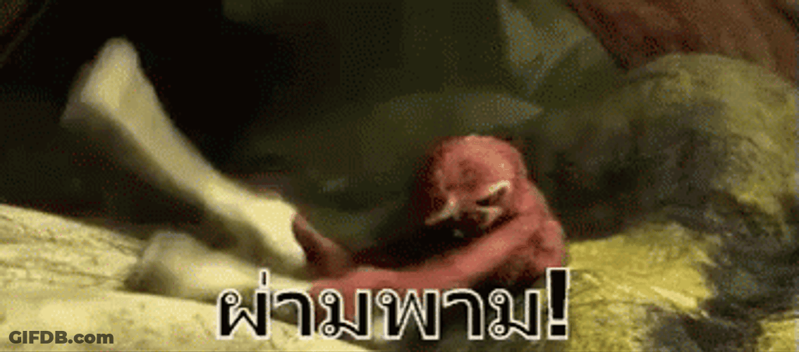 Dun Dun Dun Monkey GIF