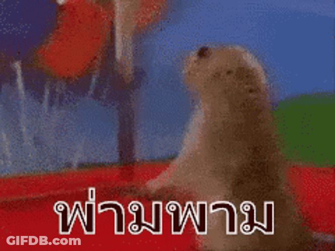 Dun Dun Dun Squirrel GIF