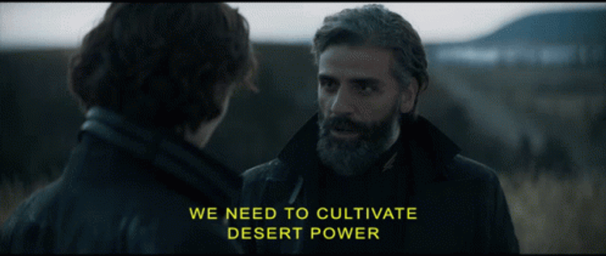 Dune Oscar Isaac GIF