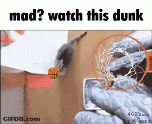 Dunk GIF