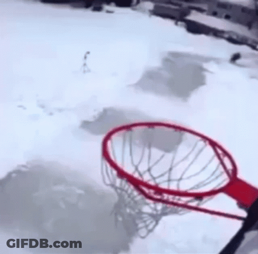 Dunk GIF