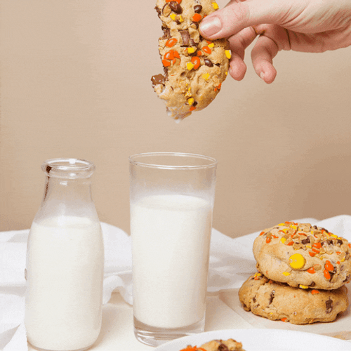 Dunkin Chocolate Cookies GIF
