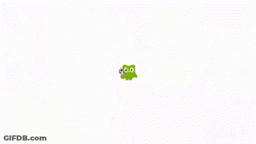 Duolingo Didn't Do The Lessons GIF