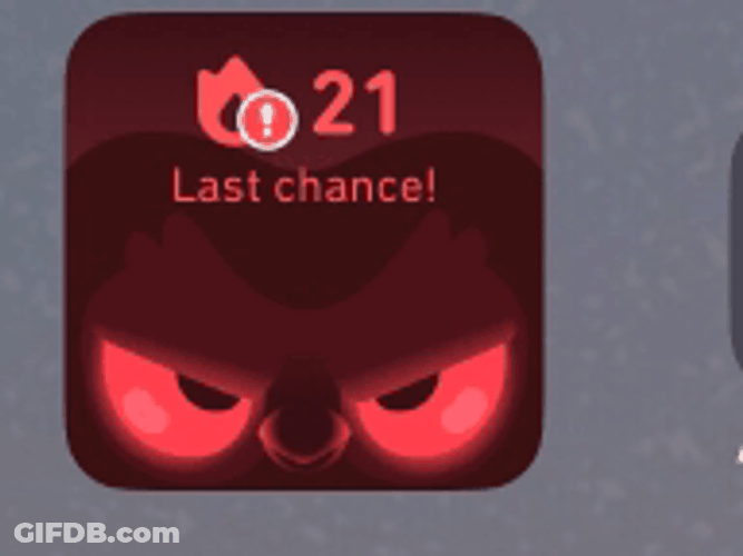 Duolingo Last Chance GIF