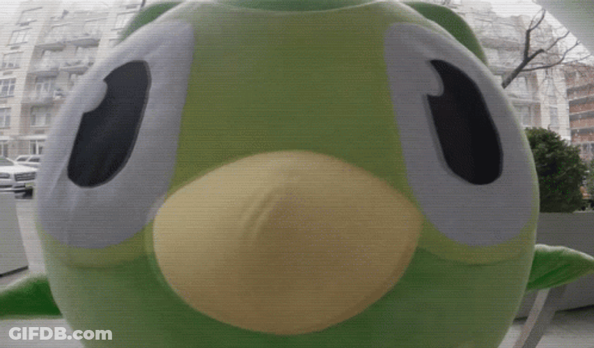 Duolingo Looking So Close GIF