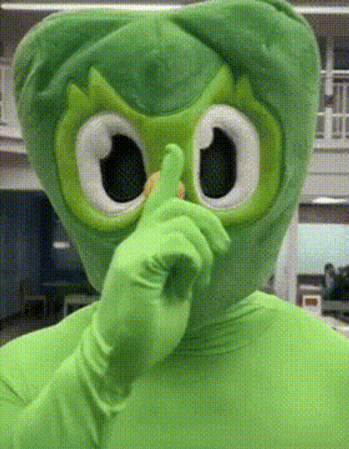 Duolingo Mascot  Mewing Meme GIF