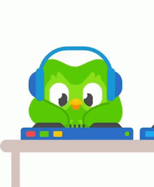 Duolingo Meme DJ Birdie GIF