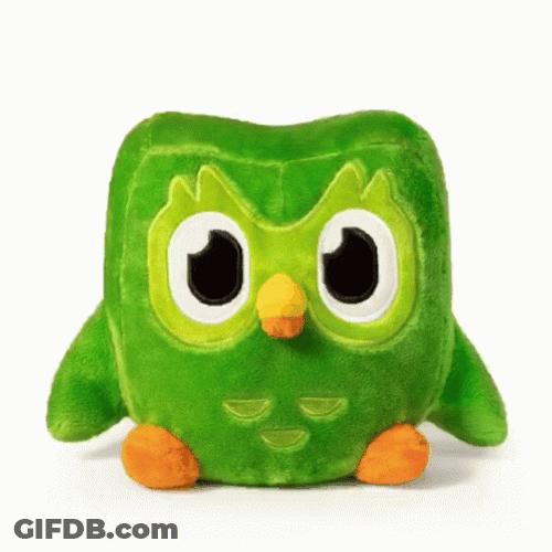 Duolingo Meme Plushy GIF