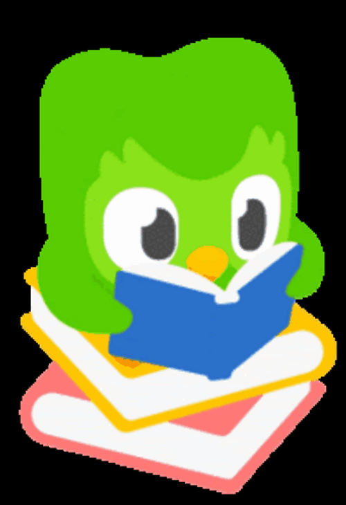 Duolingo Meme Reading GIF