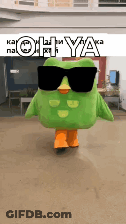 Duolingo Oh Ya Cool GIF