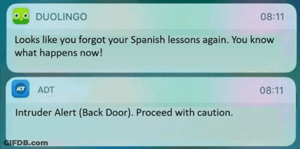 Duolingo Text Notification GIF
