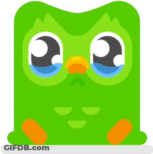 Duolingo Watery Eyes GIF