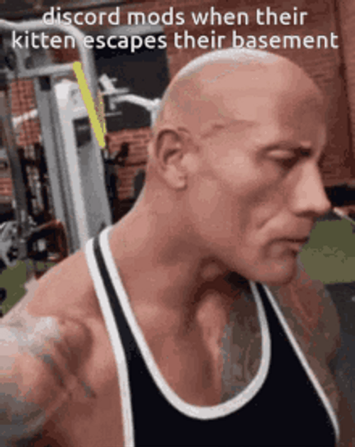 Dwayne Johnson Discord Mods Memes GIF