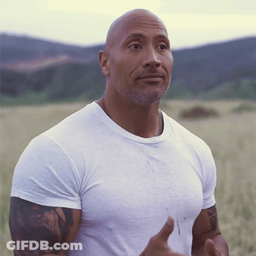 Dwayne Rock Eyebrows He's The Man GIF