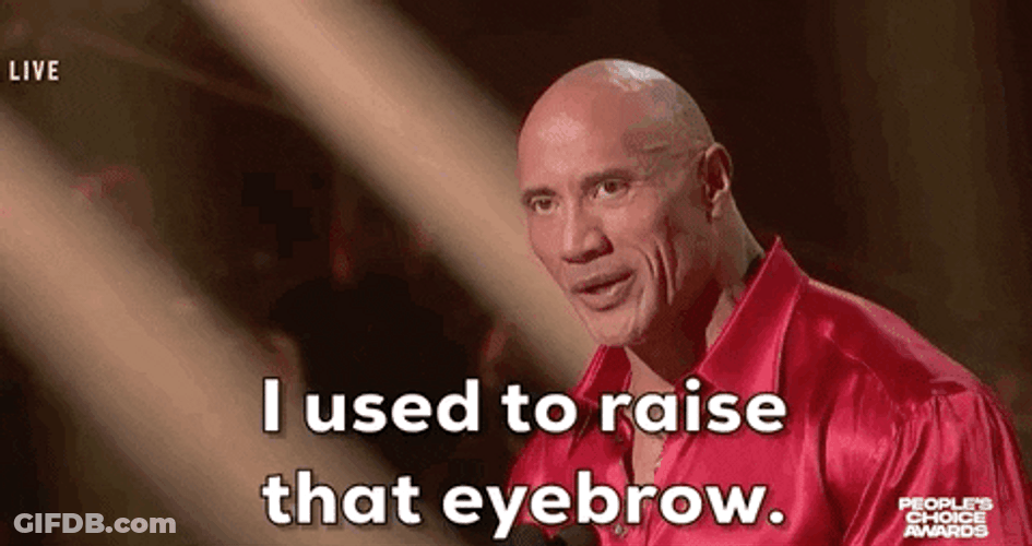 Dwayne Rock Raise That Eyebrow GIF