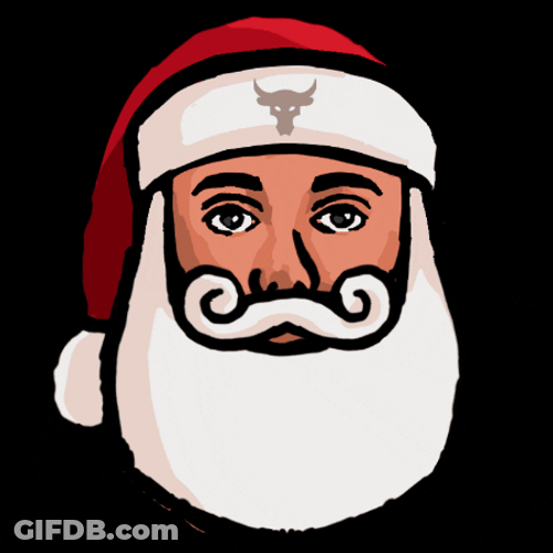 Dwayne Santa Claus Art Rock Eyebrow GIF