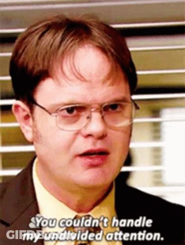 Dwight Schrute Says You Couldn't Handle My Undivided Attention GIF