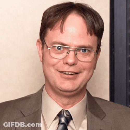 Dwight Schrute The Office Am I Right GIF