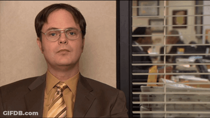 Dwight Schrute The Office Learn Your Rules GIF