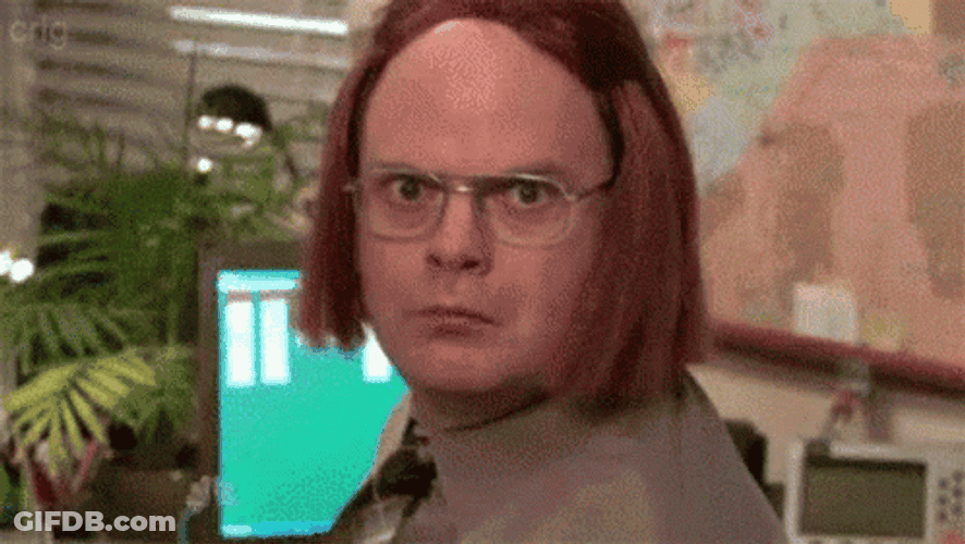 Dwight Schrute GIF