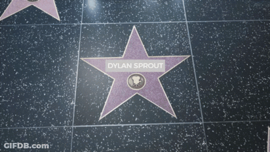 Dylan Sprout Hollywood Boulevard GIF