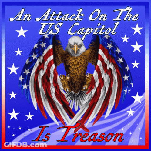Eagle An Attack On The US Capitol Is Treason GIF