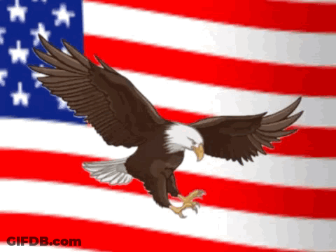 Eagle Flying In Front Of American Flag GIF