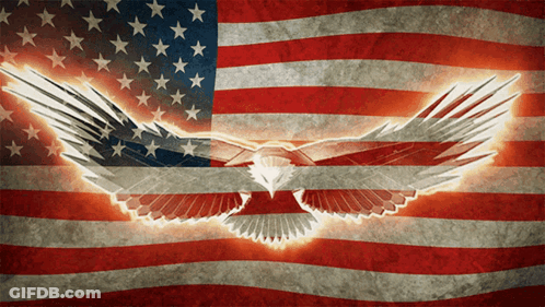 Eagle Flying In Front Of American Flag GIF
