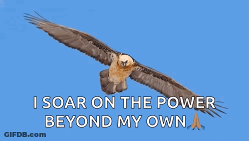 Eagle Flying In Sky I Soar GIF