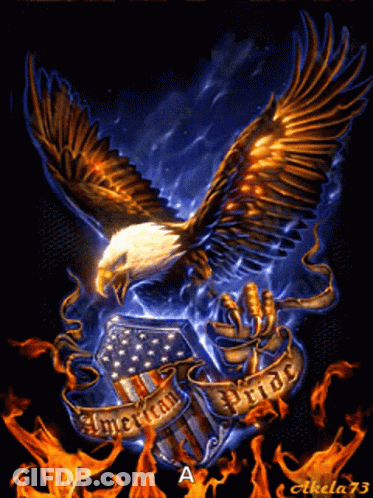 Eagle Flying Over American Flag With American Pride Banner GIF