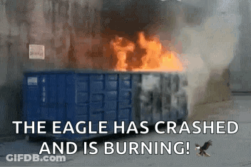 Eagle Flying Over Burning Dumpster GIF