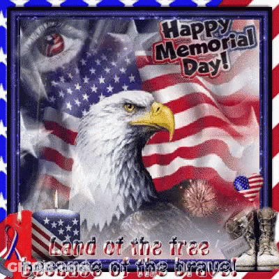 Eagle Happy Memorial Day Land Of The Free GIF