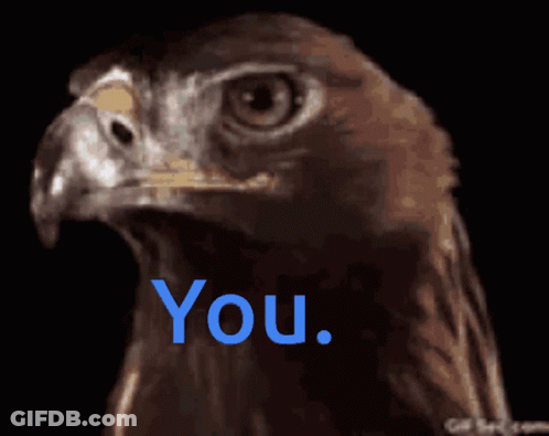 Eagle Head With Blue You GIF