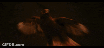 Eagle Head With Wings Spread GIF